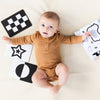 Learning Kit for Babies 0-6 Months Montessori Learning Toys