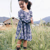 Twirl Dress- Fall Hellebore